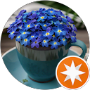 Mürver Çiçeği profile picture